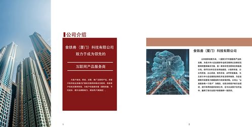 網(wǎng)絡(luò)科技公司產(chǎn)品項(xiàng)目及企業(yè)文化宣傳冊 紅色調(diào)